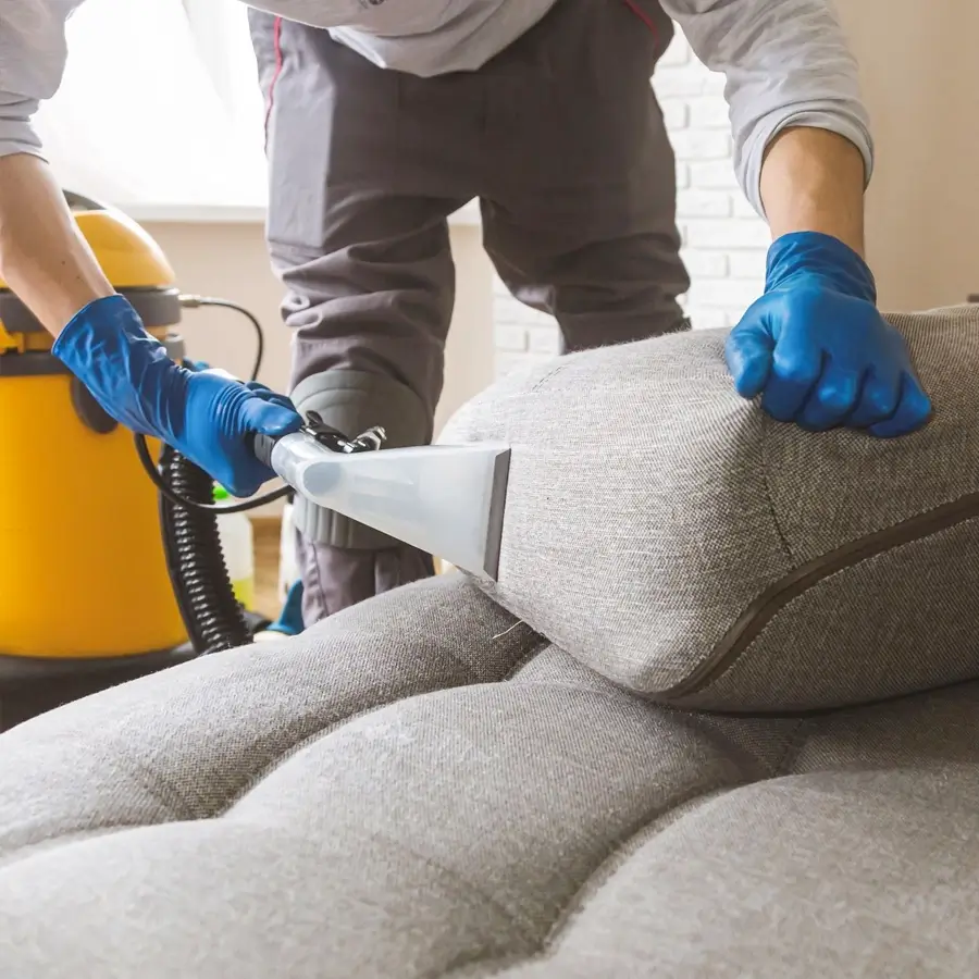 upholstery cleaning guy wearing blue gloves cleaning couch pillow